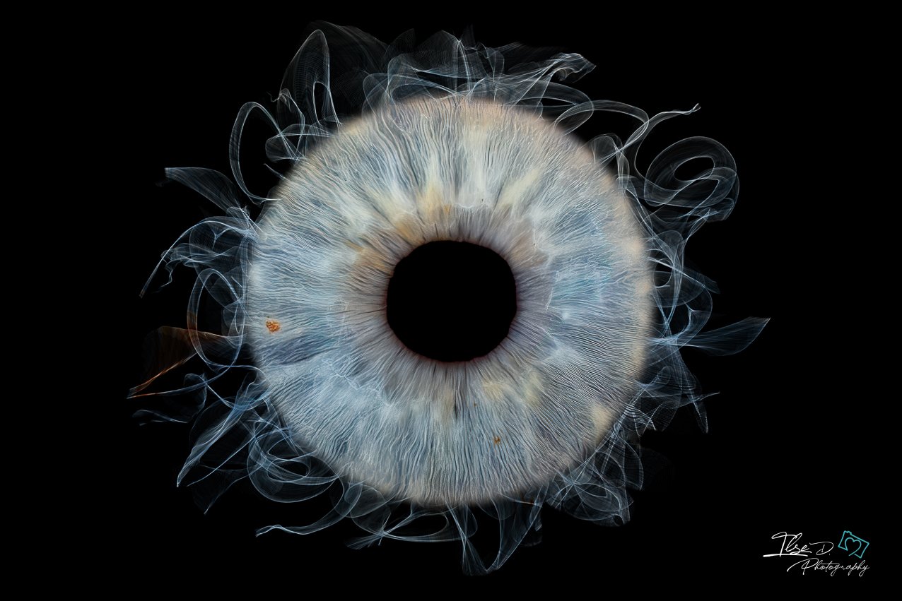 Création artistique à partir d’une photographie d’iris